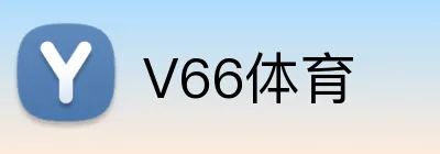 V66体育 logo